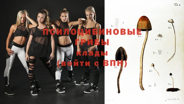 соль ск Верхнеуральск