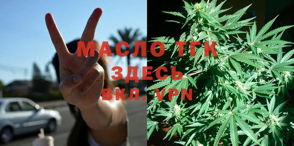 шишки Верхний Тагил