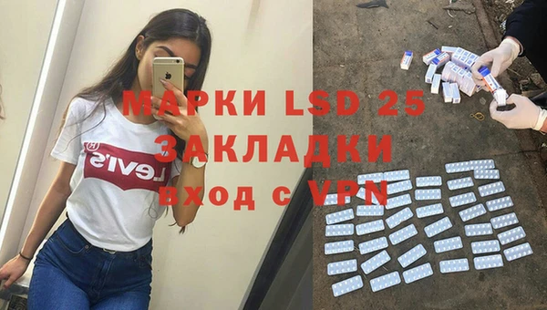 шишки Верхний Тагил
