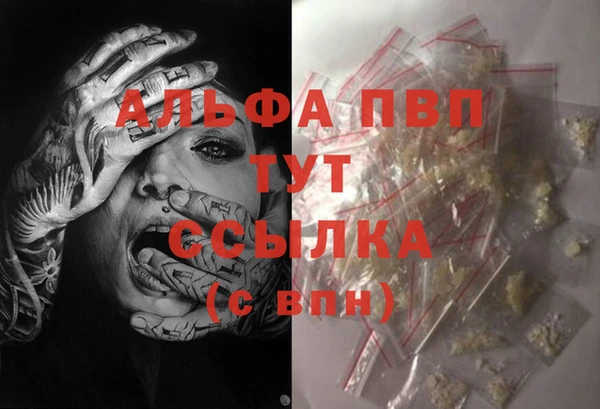 шишки Верхний Тагил