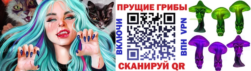 Купить где  Удачный  Галлюциногенные грибы Psilocybine cubensis 