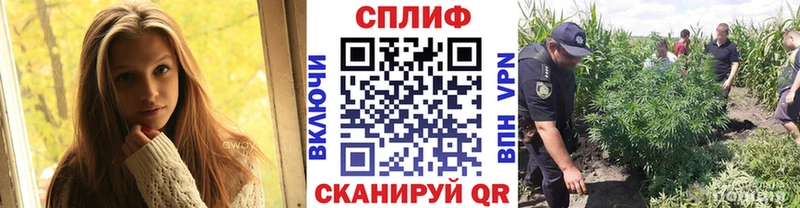 Шишки марихуана Bruce Banner  Купить закладки  Удачный 